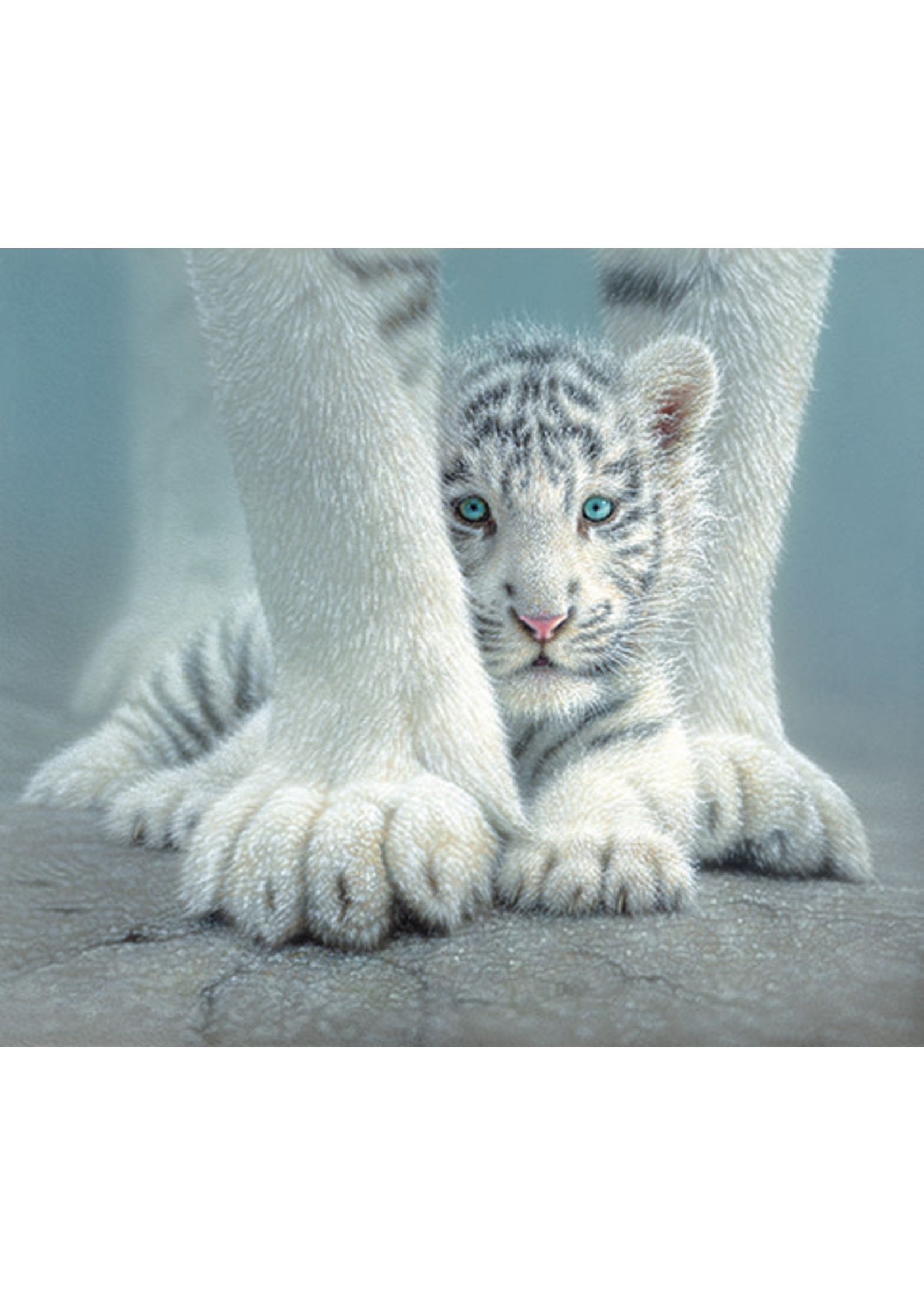 Sunsout Sheltered 550pc