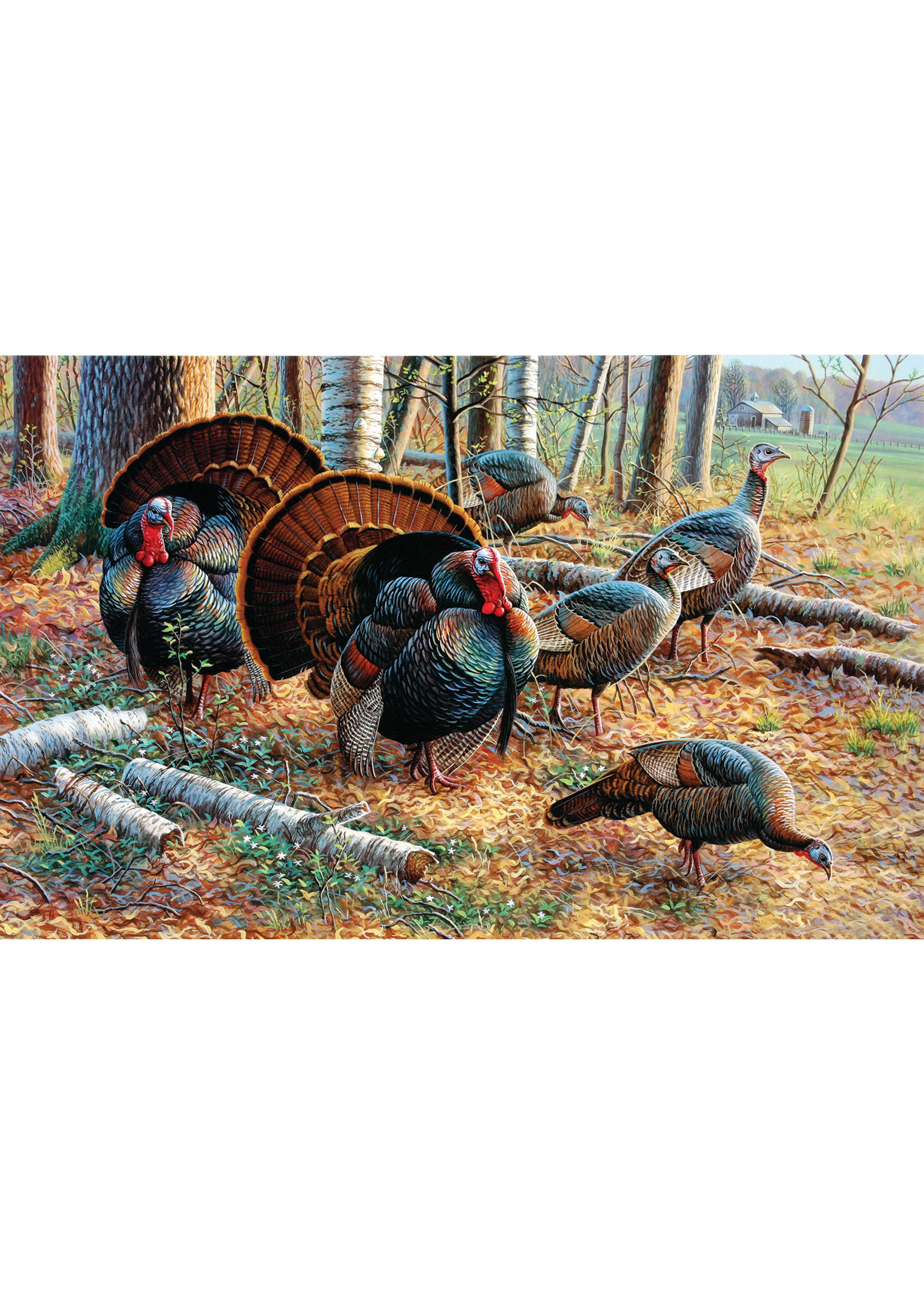 Sunsout Spring Strut Puzzle 550 Pieces