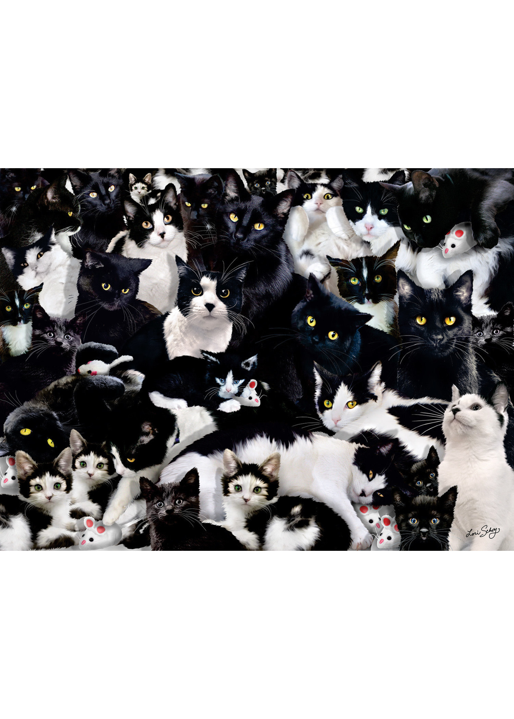 Sunsout Study in Black and White 1000pc