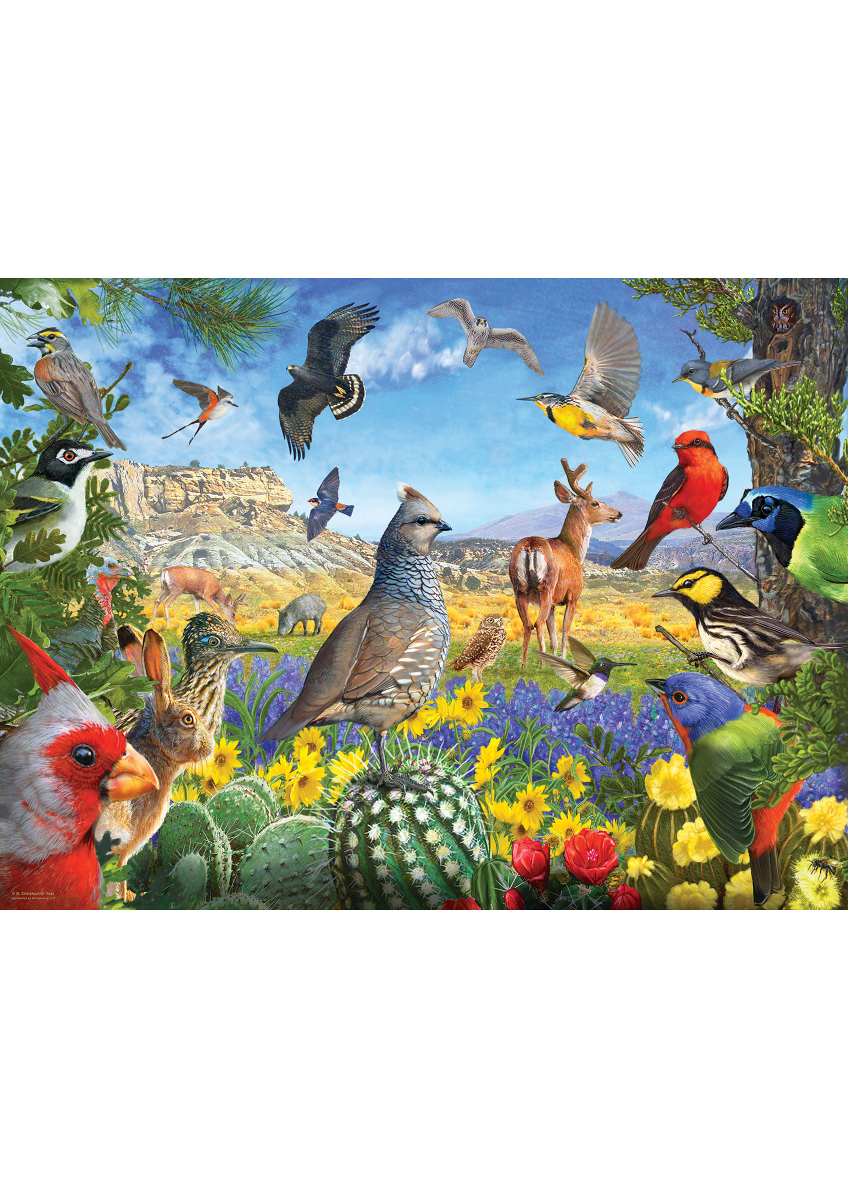 Sunsout Texas Birds Puzzle 1000 Pieces