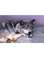 Sunsout Time Out Puzzle 1000 Pieces