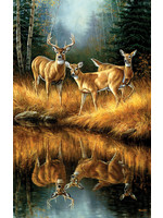 Sunsout Whitetail Reflections 550pc