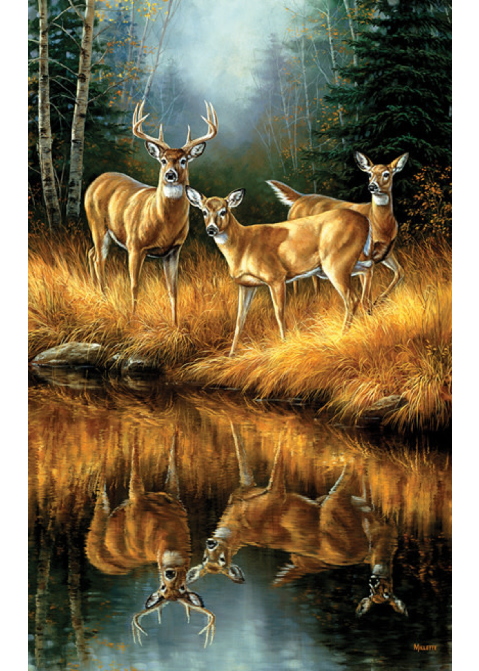 Sunsout Whitetail Reflections Puzzle 550 Pieces