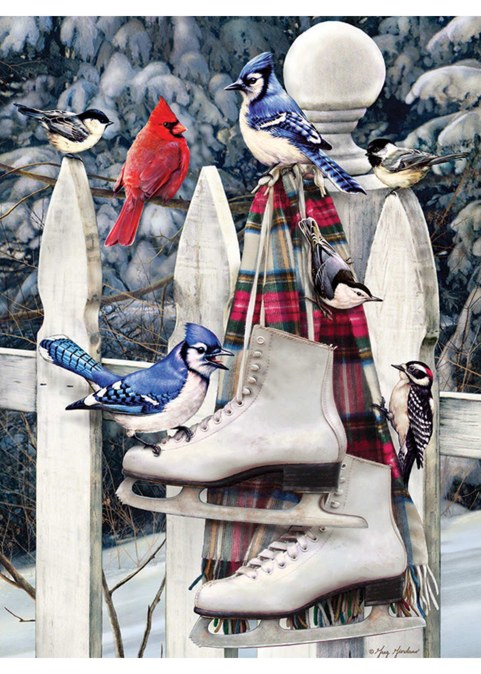 Cobble Hill Birds with Skates Puzzle 500 Pieces