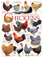 Cobble Hill Chicken Quotes Puzzle 1000 Pieces