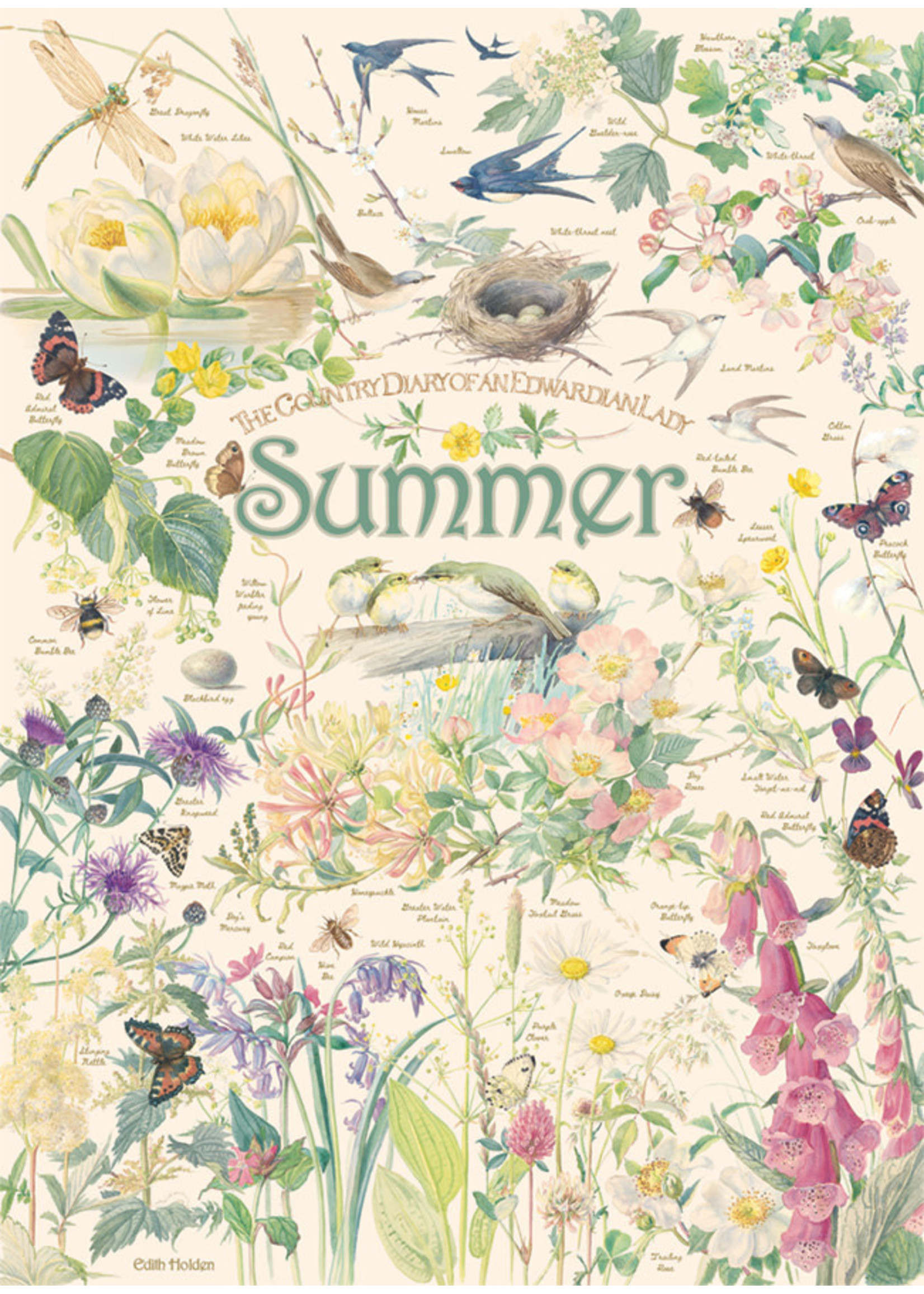 Cobble Hill Country Diary: Summer Puzzle 1000 Pieces