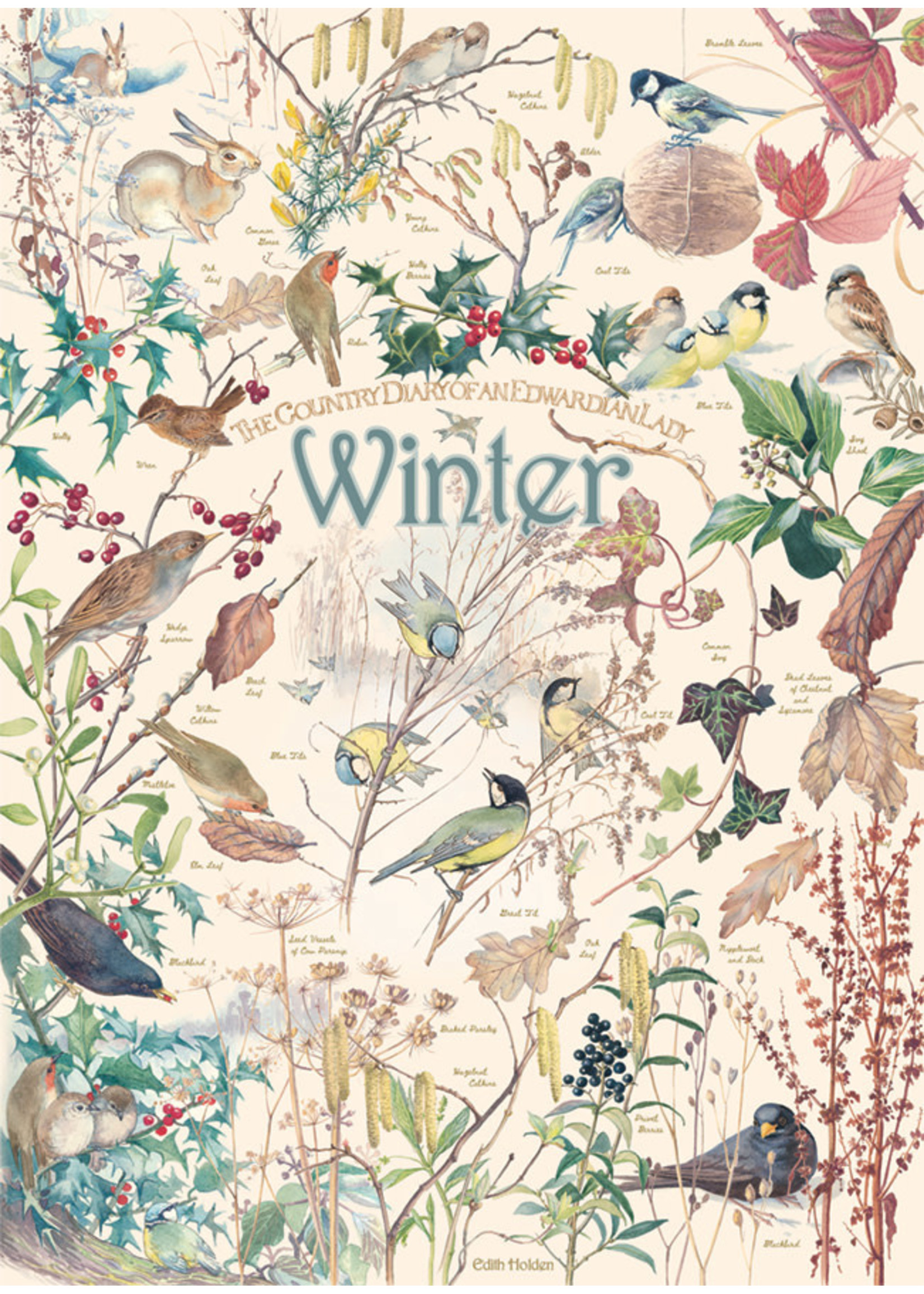 Cobble Hill Country Diary: Winter Puzzle 1000 Pieces