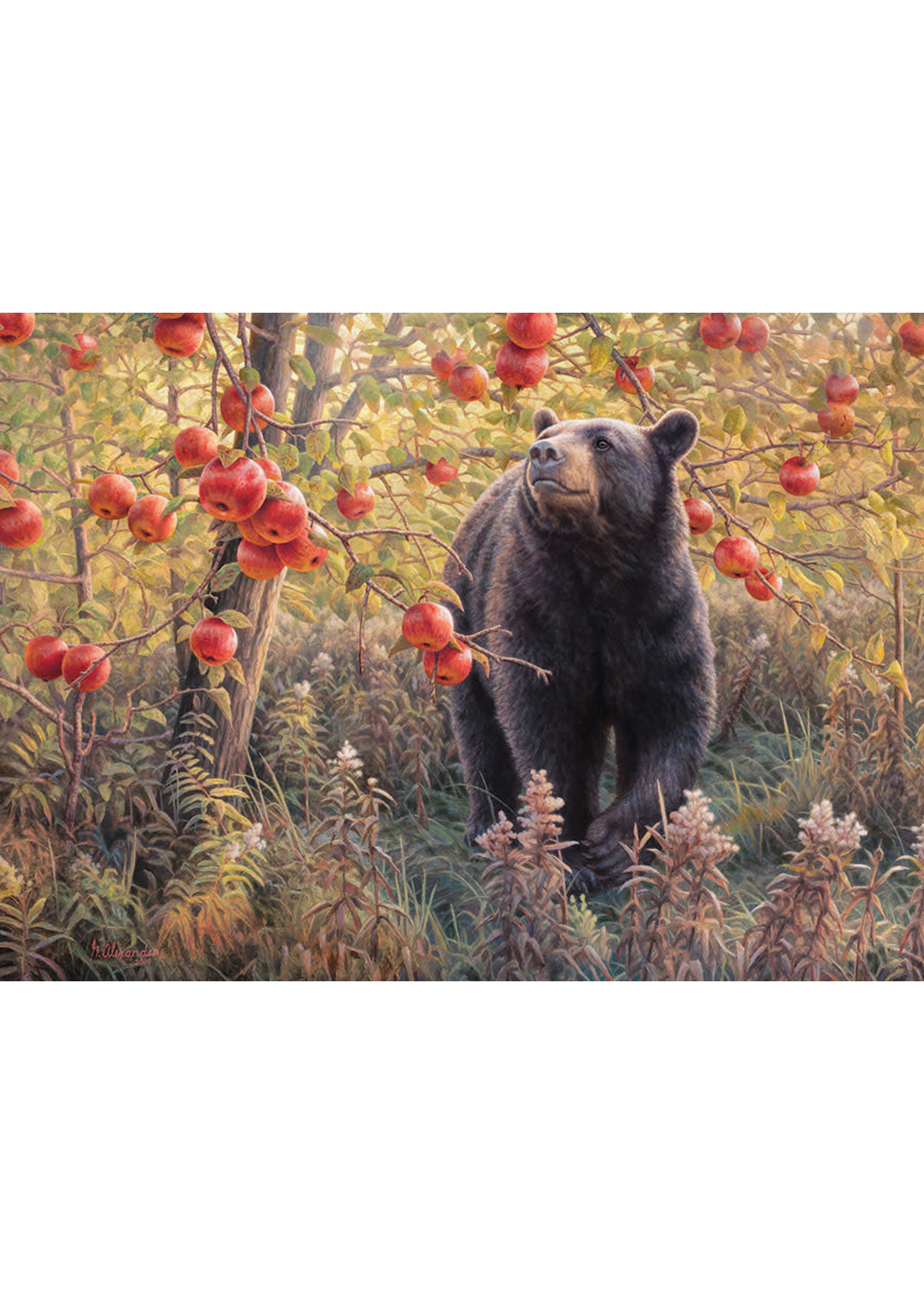 Cobble Hill Den Dreams 500pc