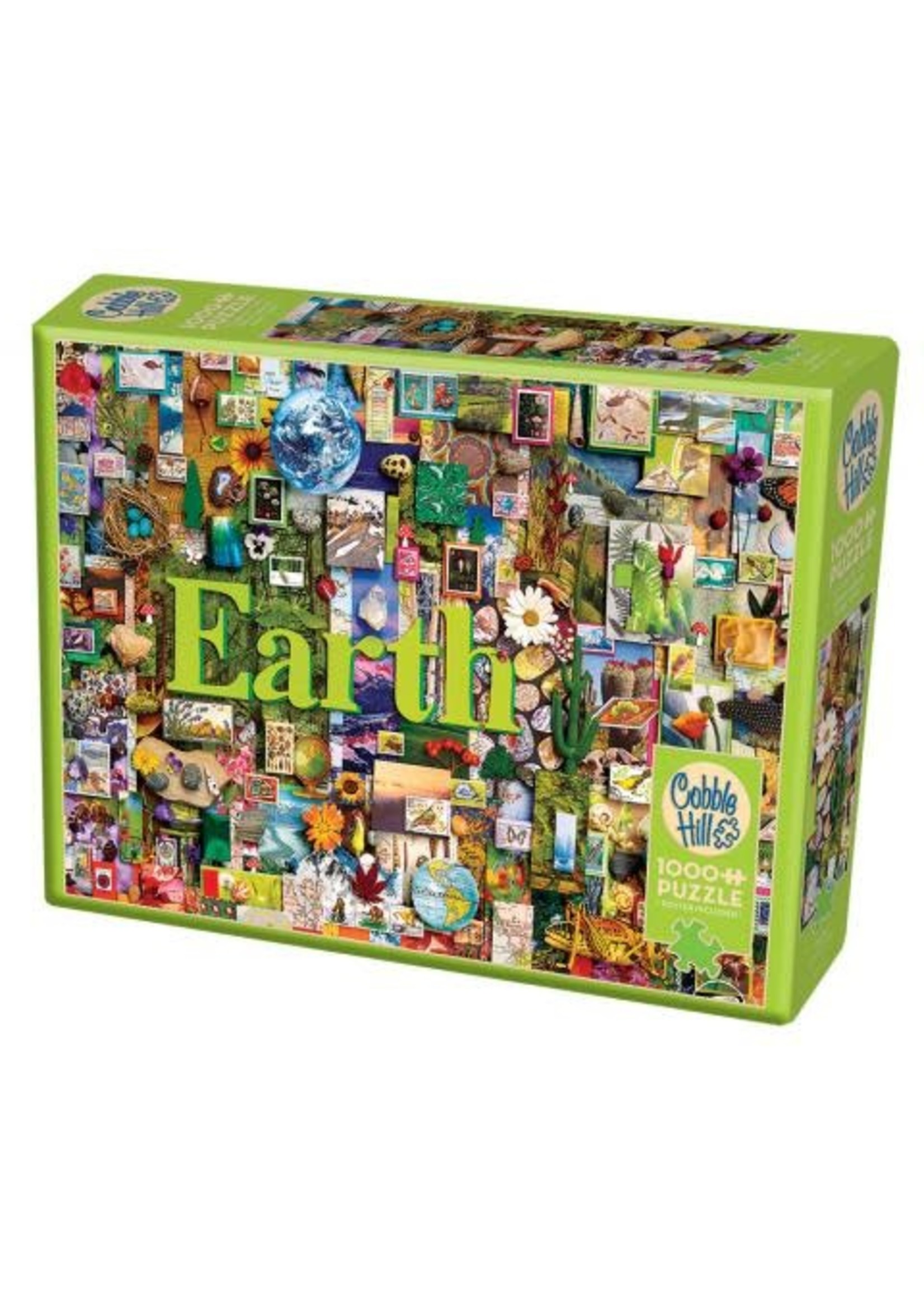 Cobble Hill Earth Puzzle 1000 Pieces