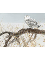 Cobble Hill Fallen Willow Snowy Owl 500 Pieces