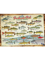 Cobble Hill Freshwater Fish of North America Puzzle 1000 Pieces