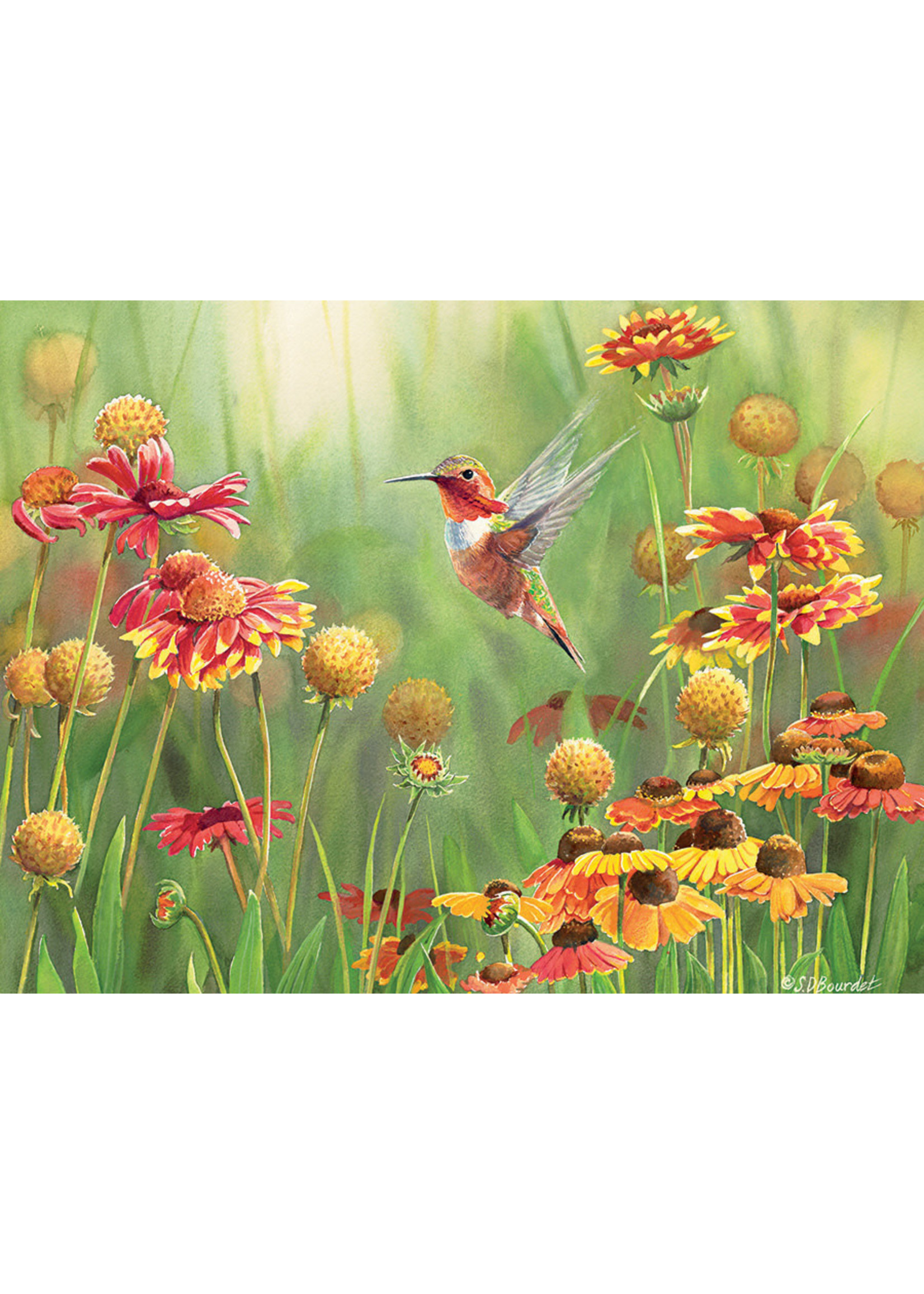 Cobble Hill Rufous Hummingbird Puzzle 500 Pieces