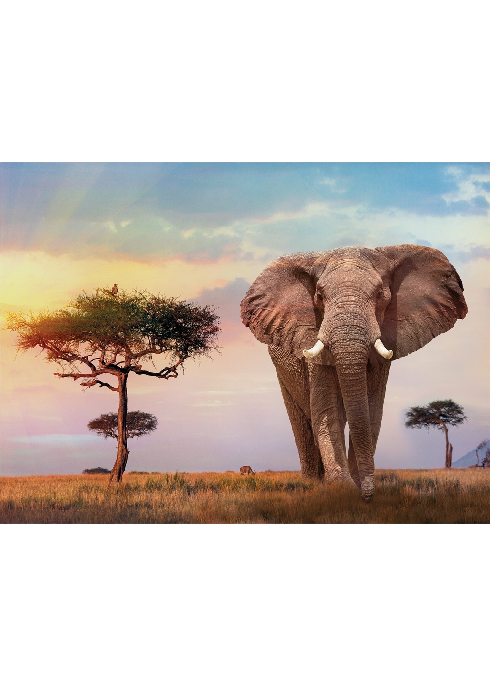 Clementoni African Sunset 500