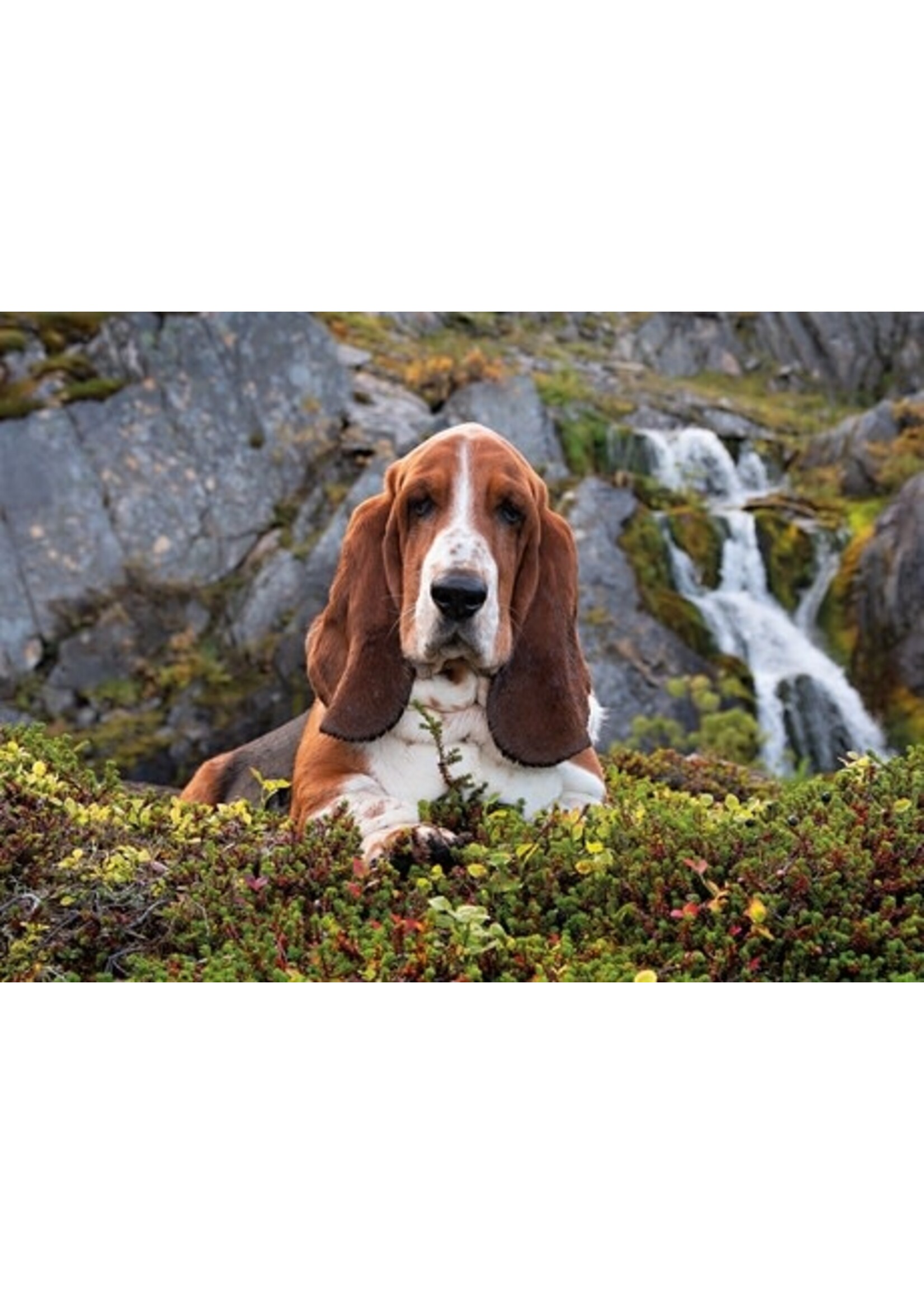 Clementoni Charlie Brown 1000