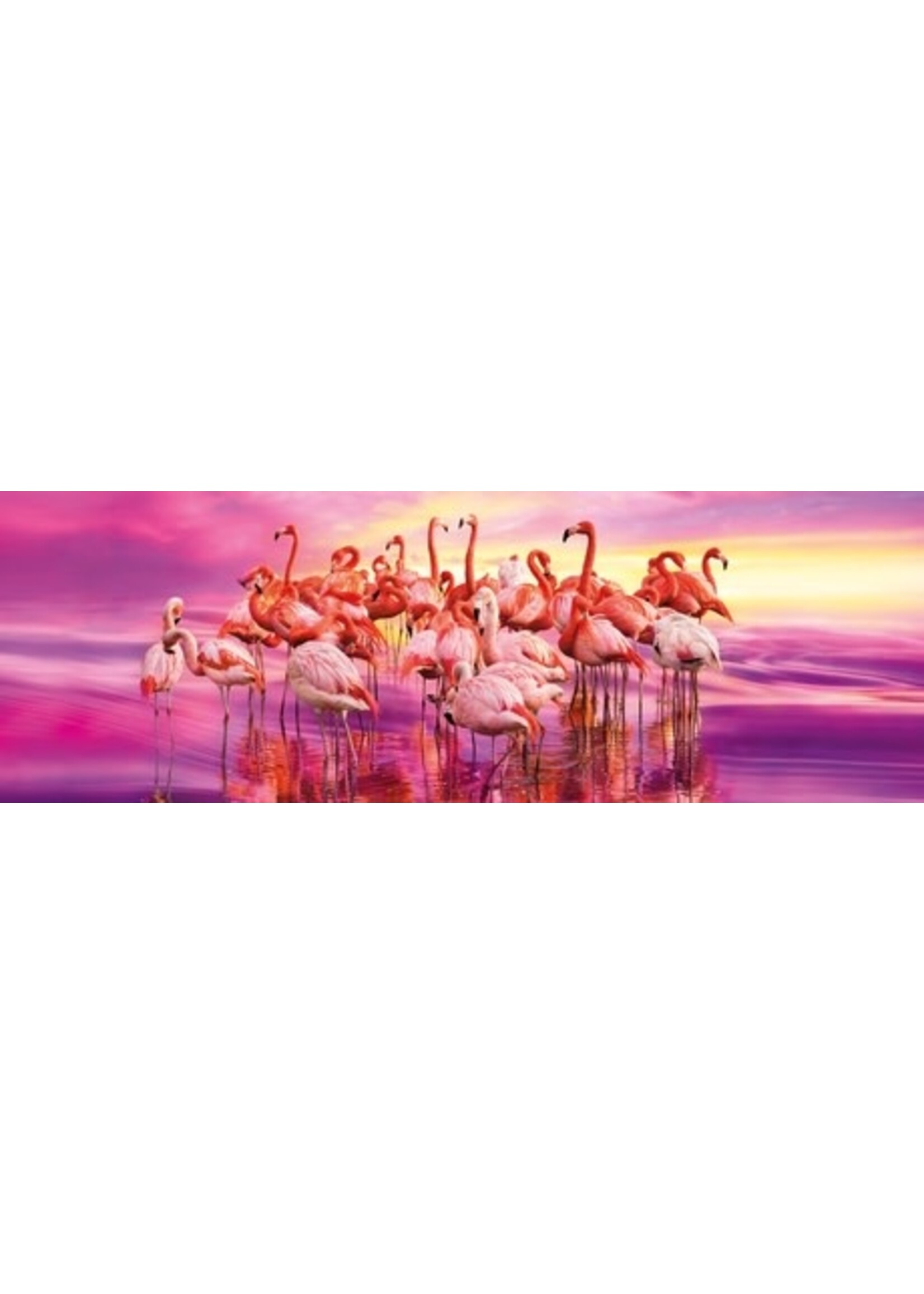 Clementoni Flamingo Dance 1000