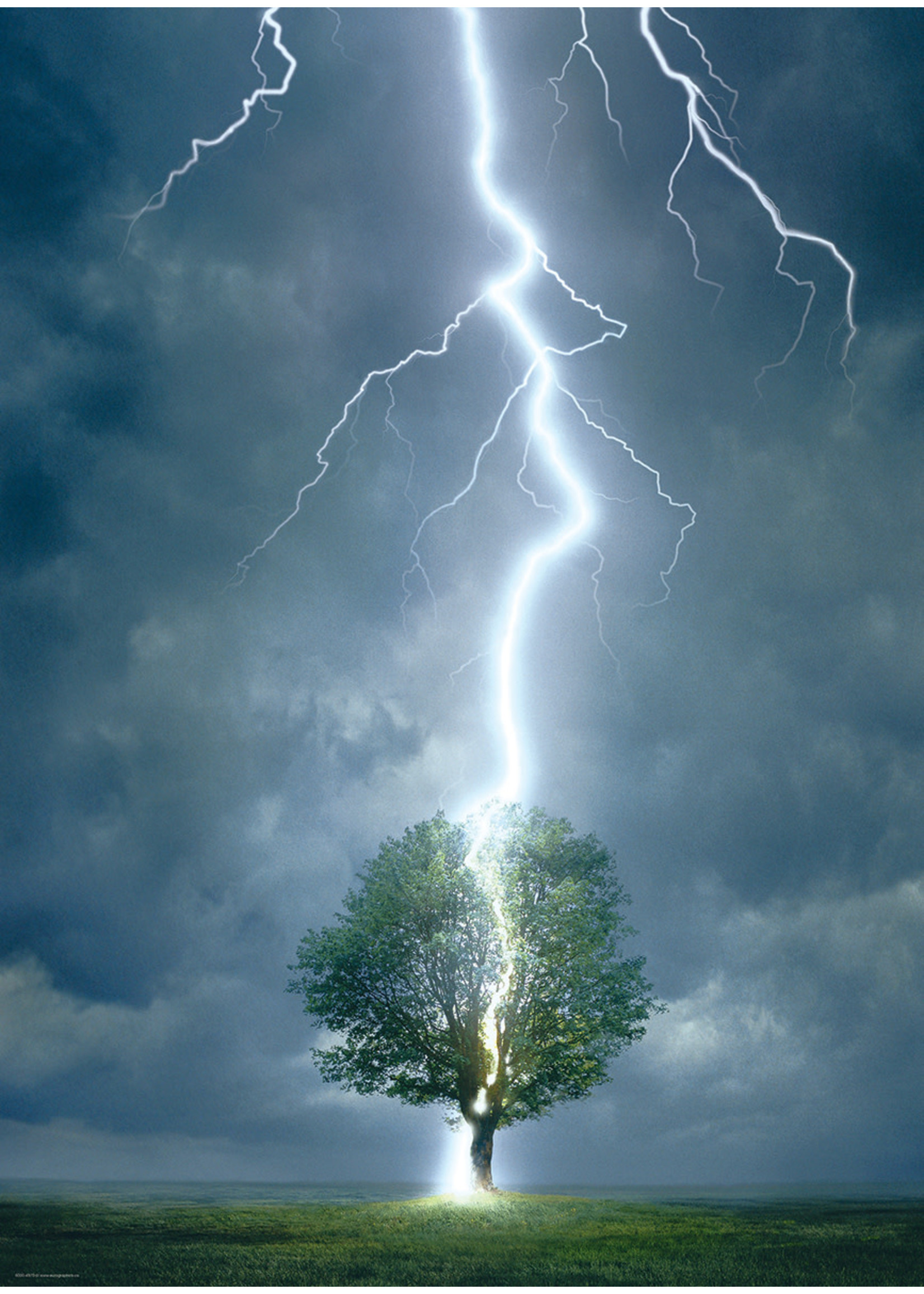 Lighting Striking Tree  Puzzle 1000pc