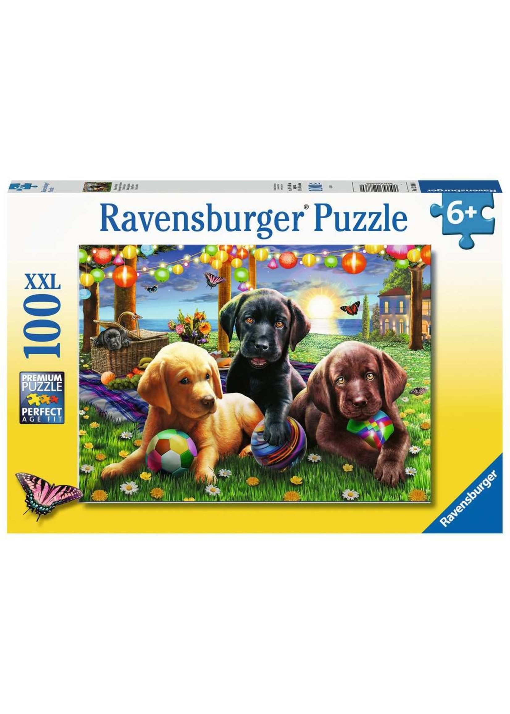 Ravensburger Puppy Picnic 100pc