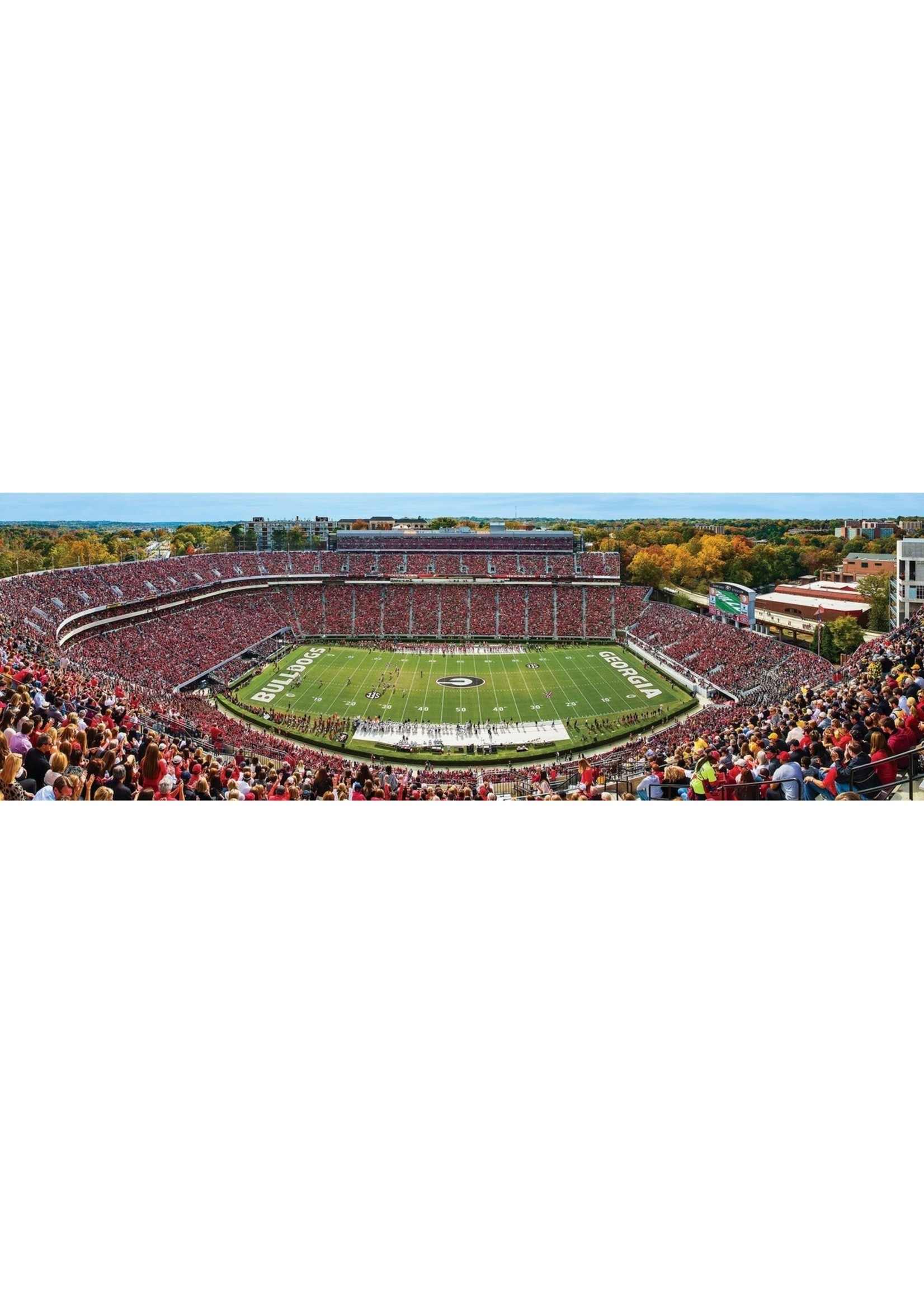 University of Georgia Stadium Panoramic