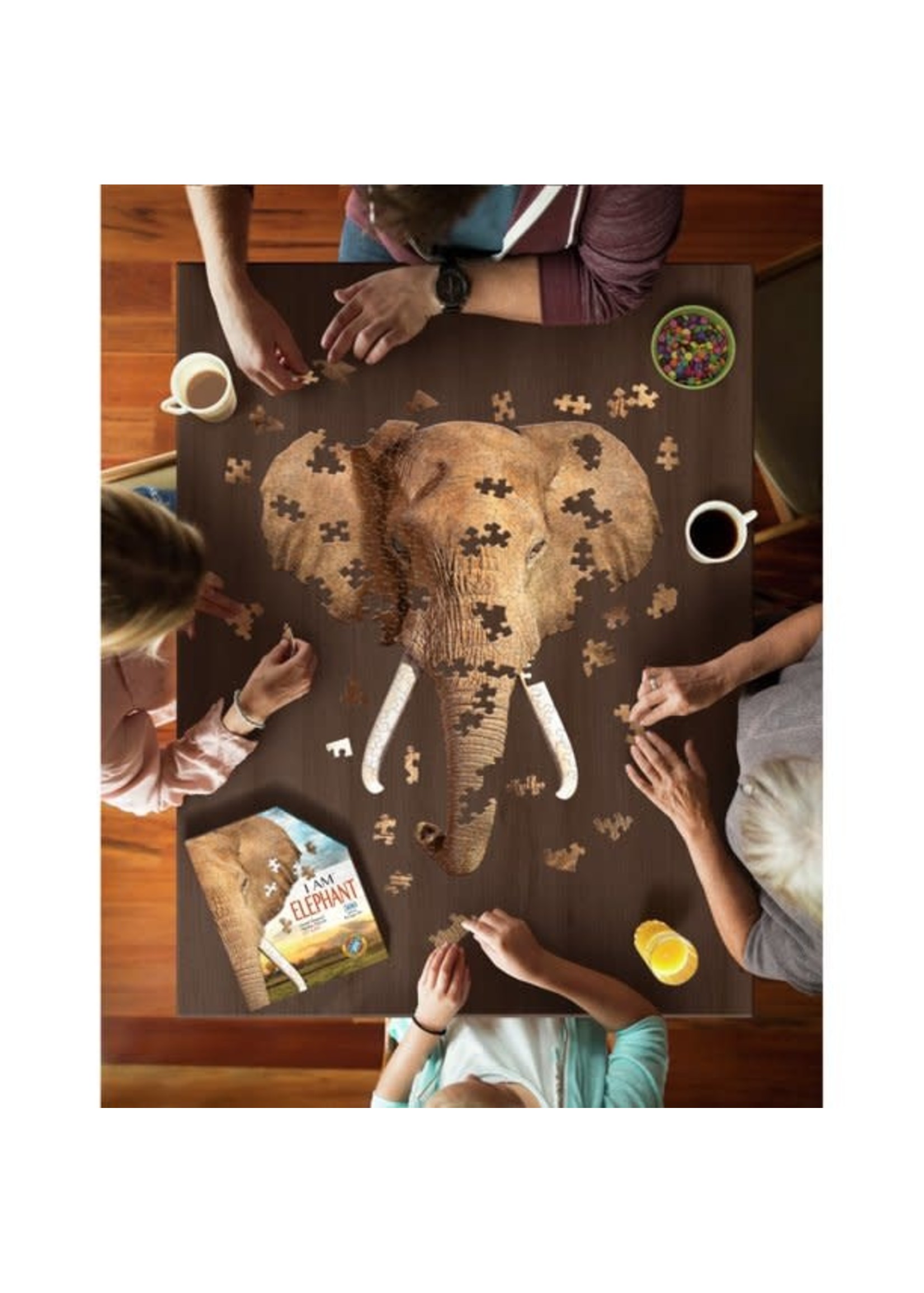 E11Even LLC Madd Capp Entertainment I AM Elephant 300 Mini