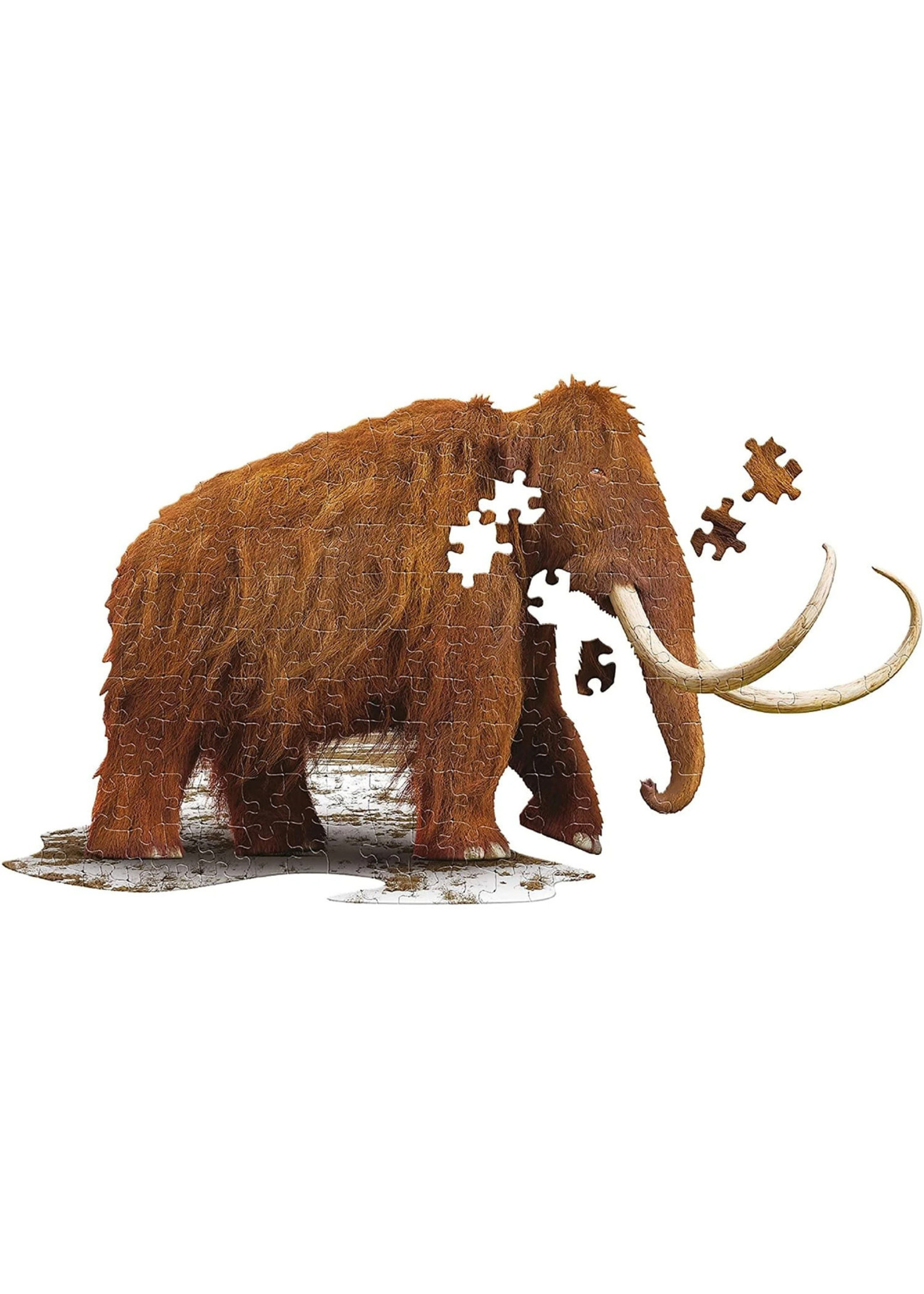 E11Even LLC Madd Capp Entertainment I AM Woolly 100