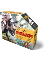 E11Even LLC Madd Capp Entertainment I AM Triceratops 100pc