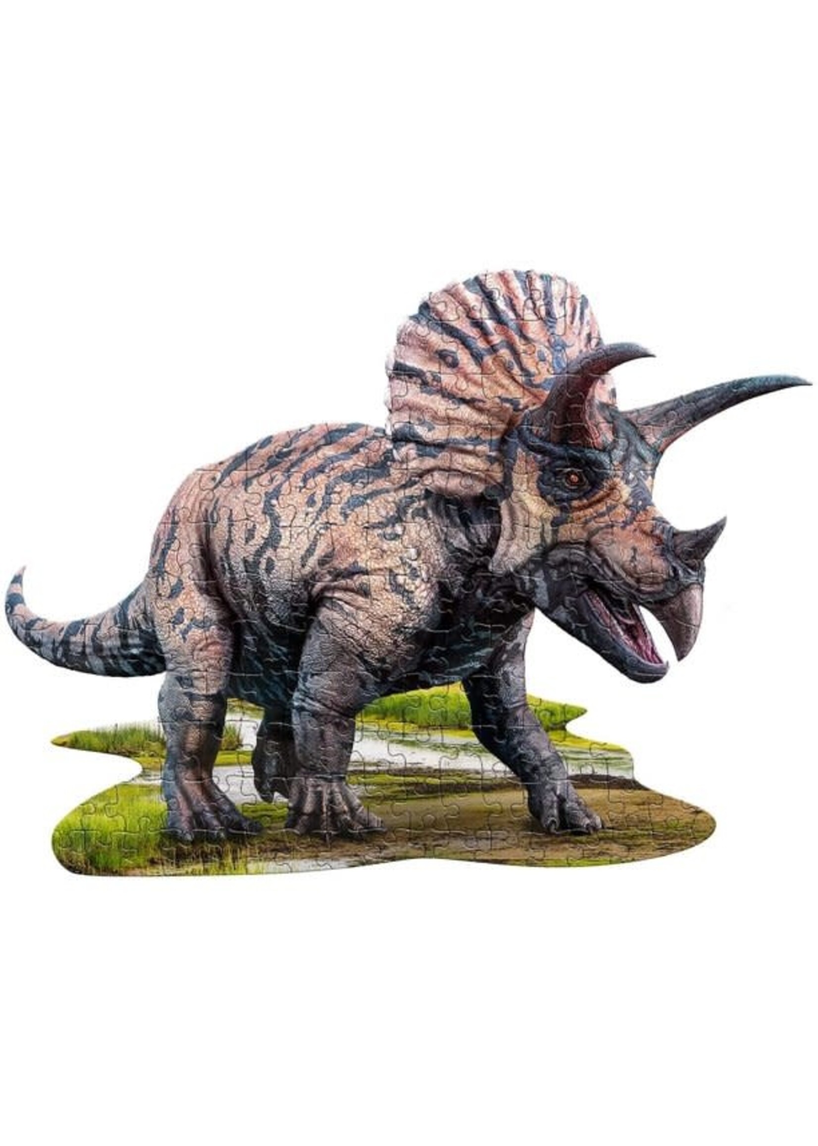 E11Even LLC Madd Capp Entertainment I AM Triceratops 100pc