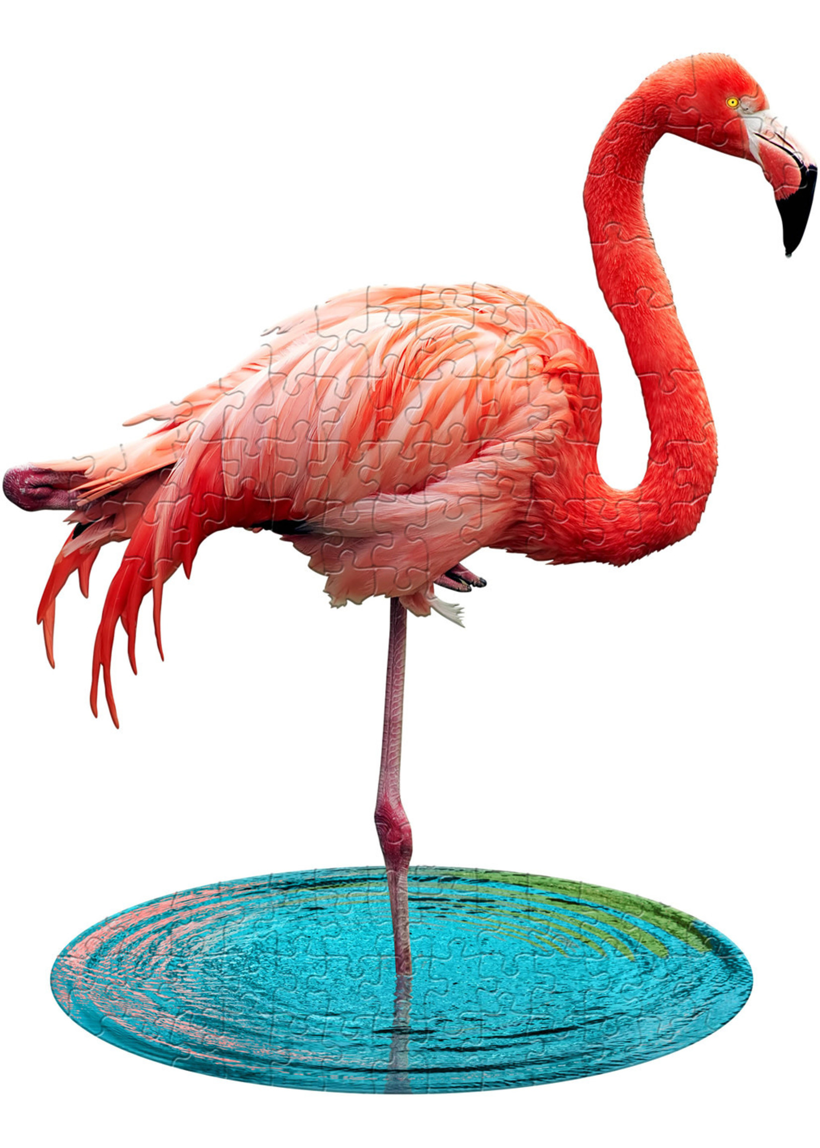 E11Even LLC Madd Capp Entertainment I AM Lil' Flamingo 100