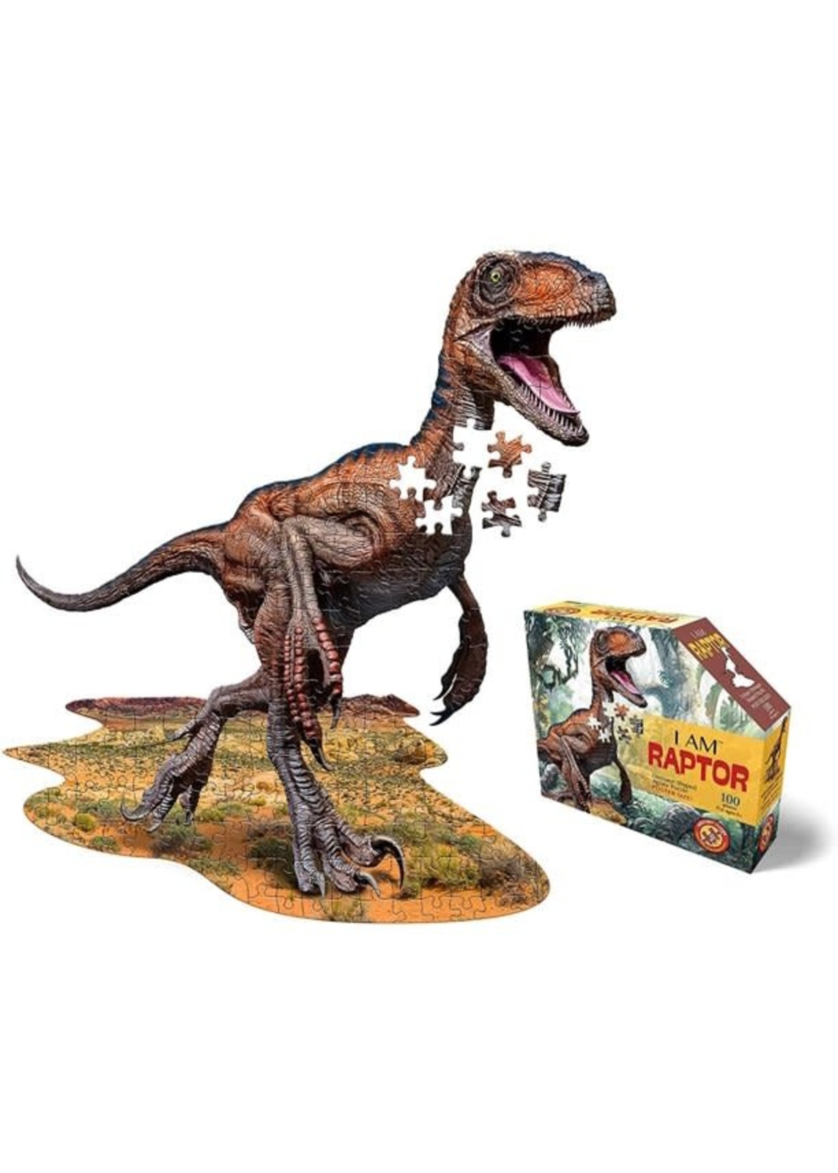 E11Even LLC Madd Capp Entertainment I AM Raptor 100pc