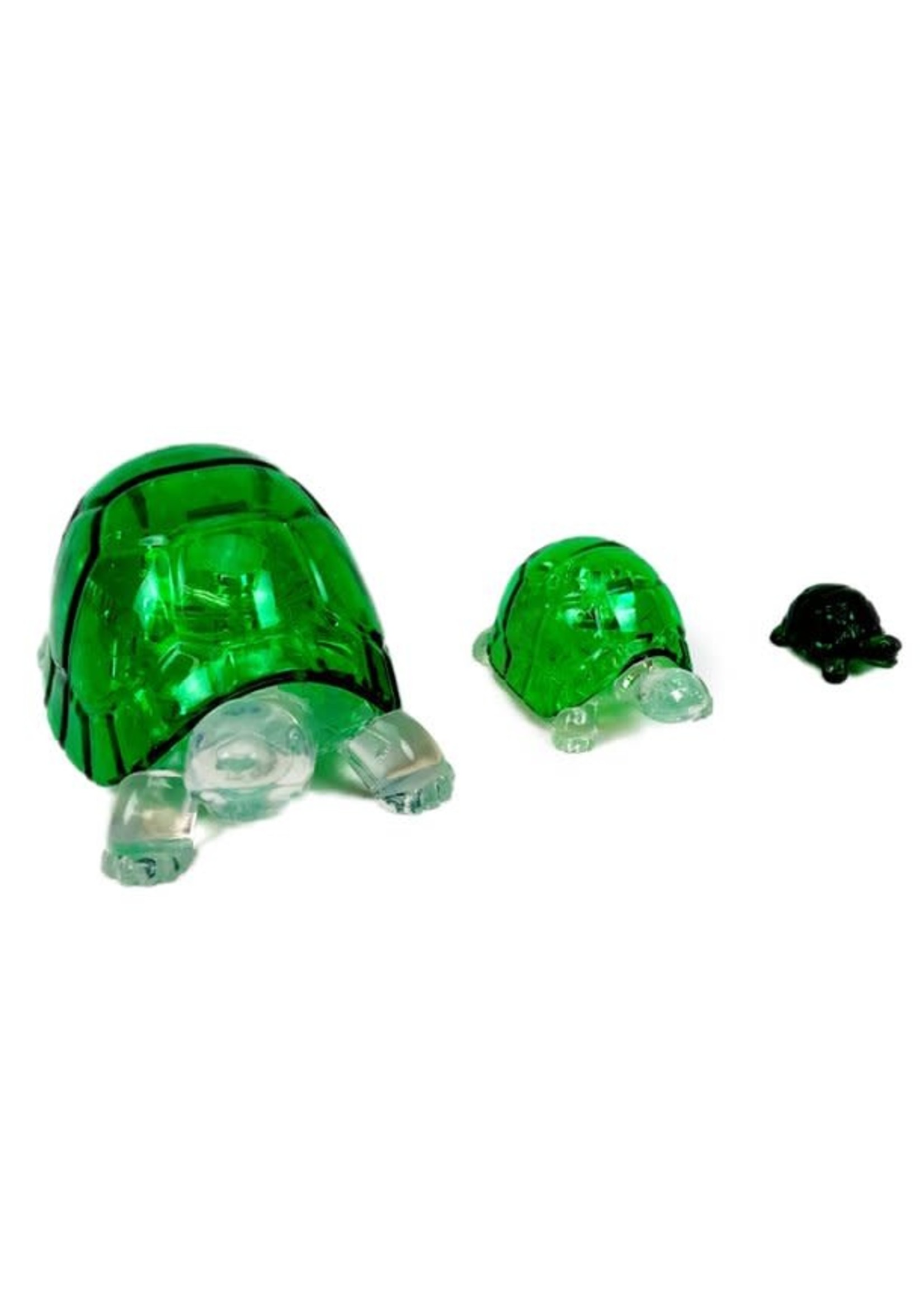 3D Crystal Turtles