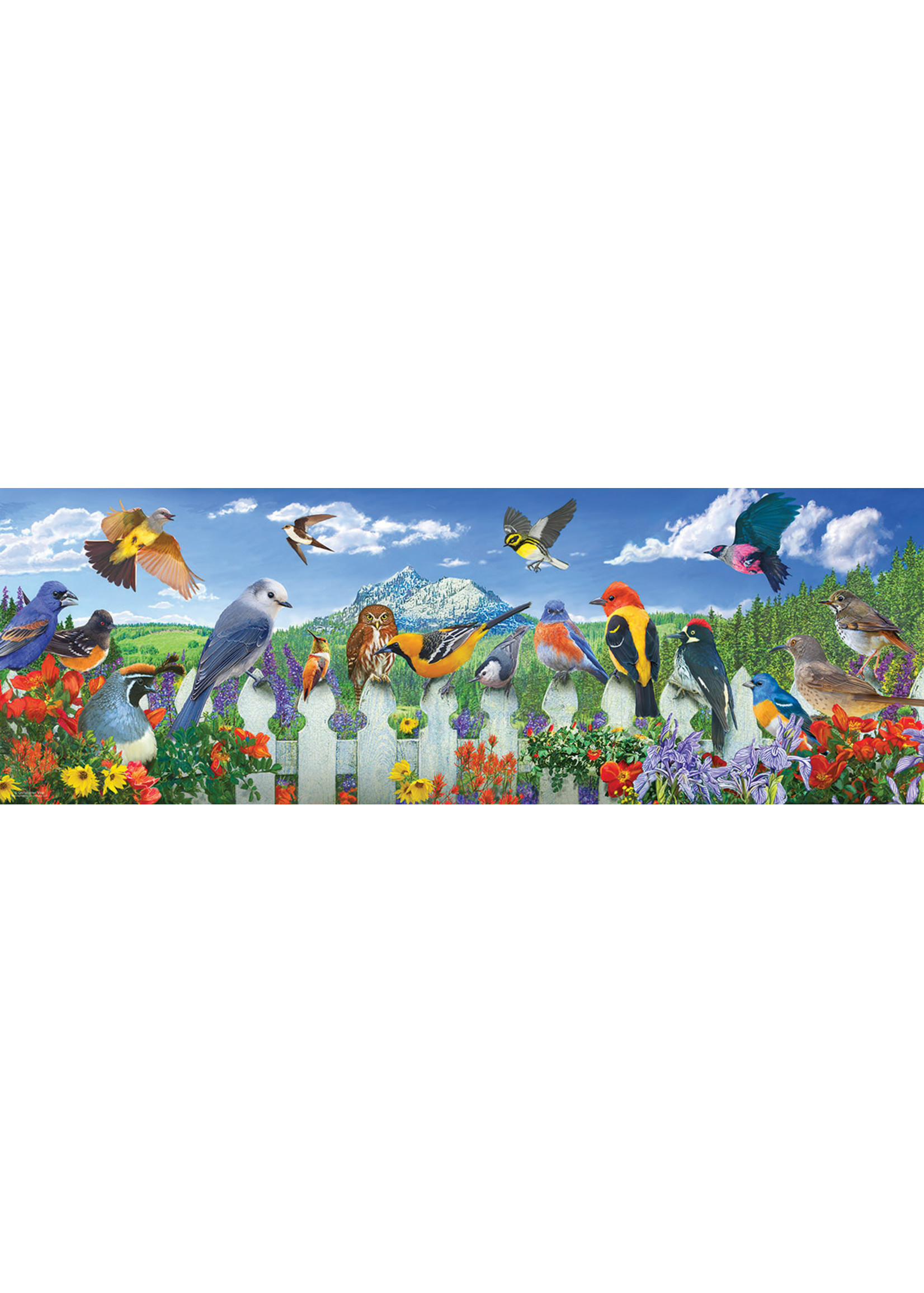 Sunsout Western Birds 500 pc puzzle