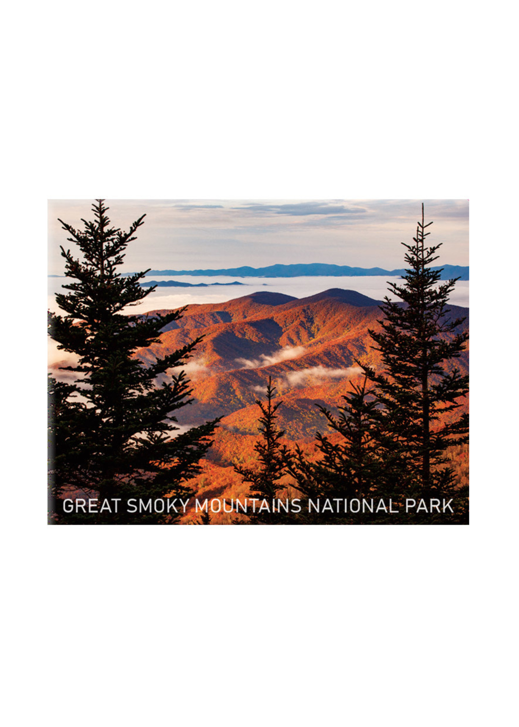 Magnet GSMNP Fall
