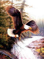 Sunsout Eagle Patriot Puzzle 500 Pieces
