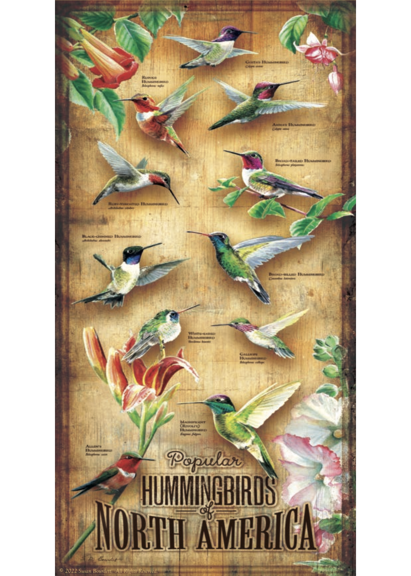 Sunsout Hummingsbirds of North America Puzzle 500 Pieces