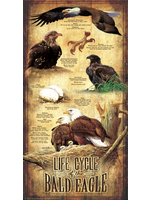 Sunsout Life Cycle of the Bald Eagle Puzzle 500 Pieces