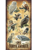 Sunsout Owls of North America Puzzle 500 Pieces