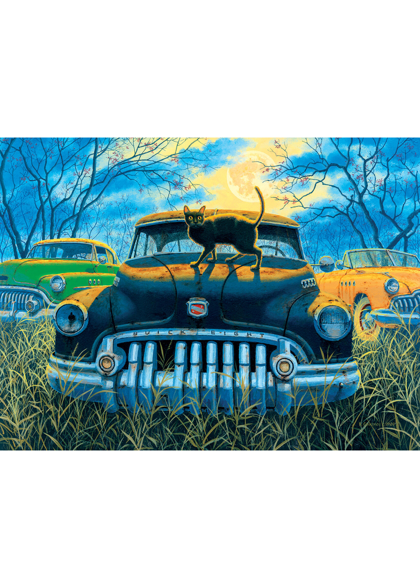 Sunsout Spooky Tooth 1000pc