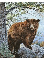Art and Hobby Brown Bear 38x48 Diamond Art