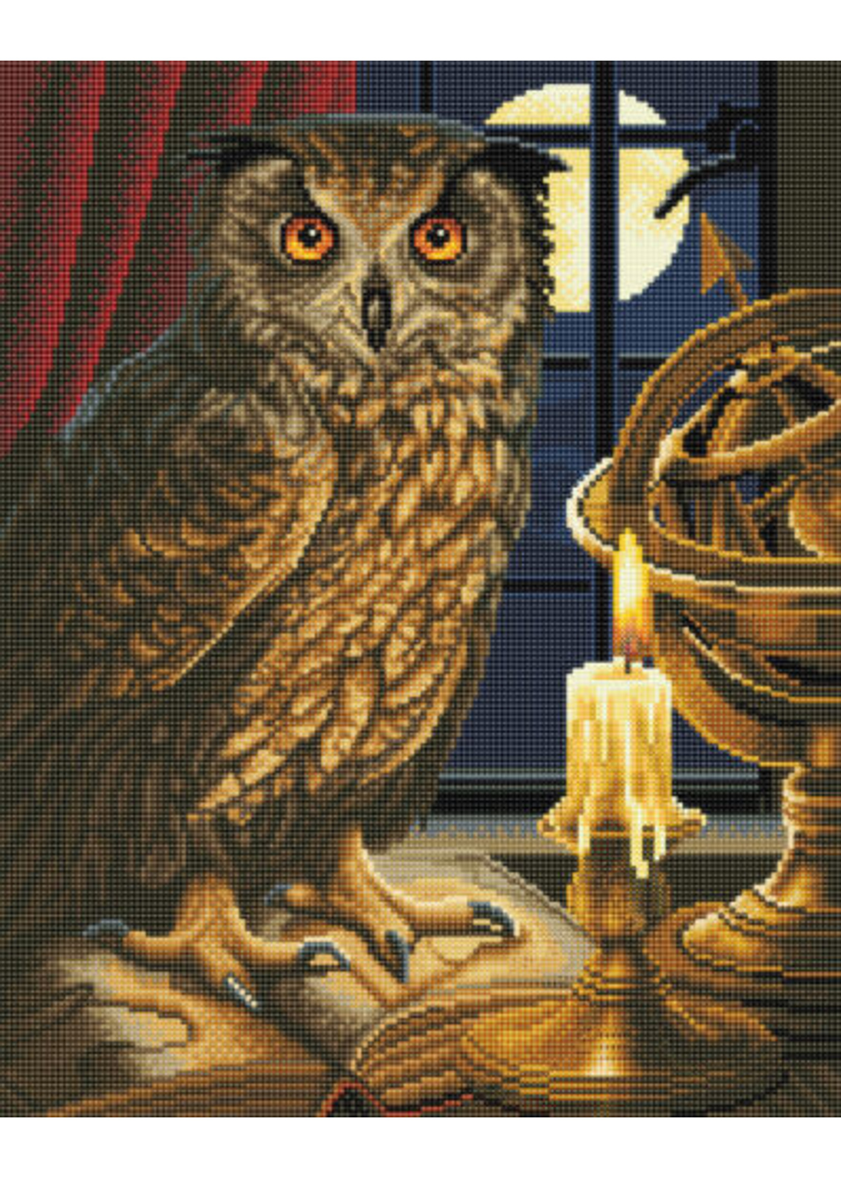 Outset The Astrologer Owl Large Framed Kit