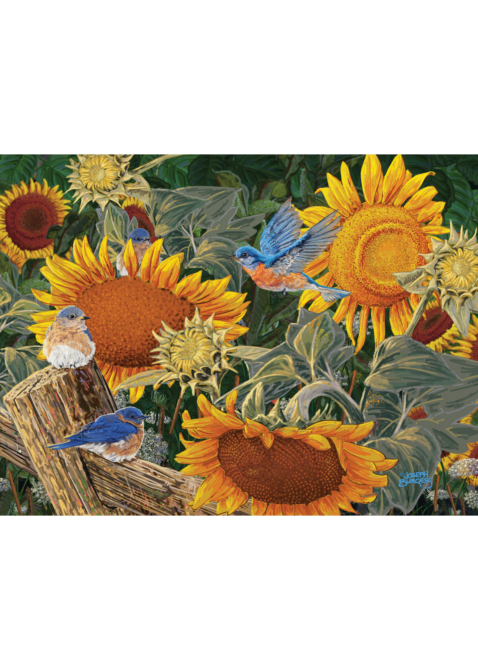 Sunsout Sunflower Patch 300pc