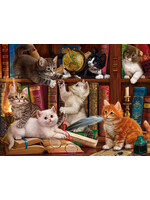 Sunsout Library Kittens Puzzle 1000 Pieces