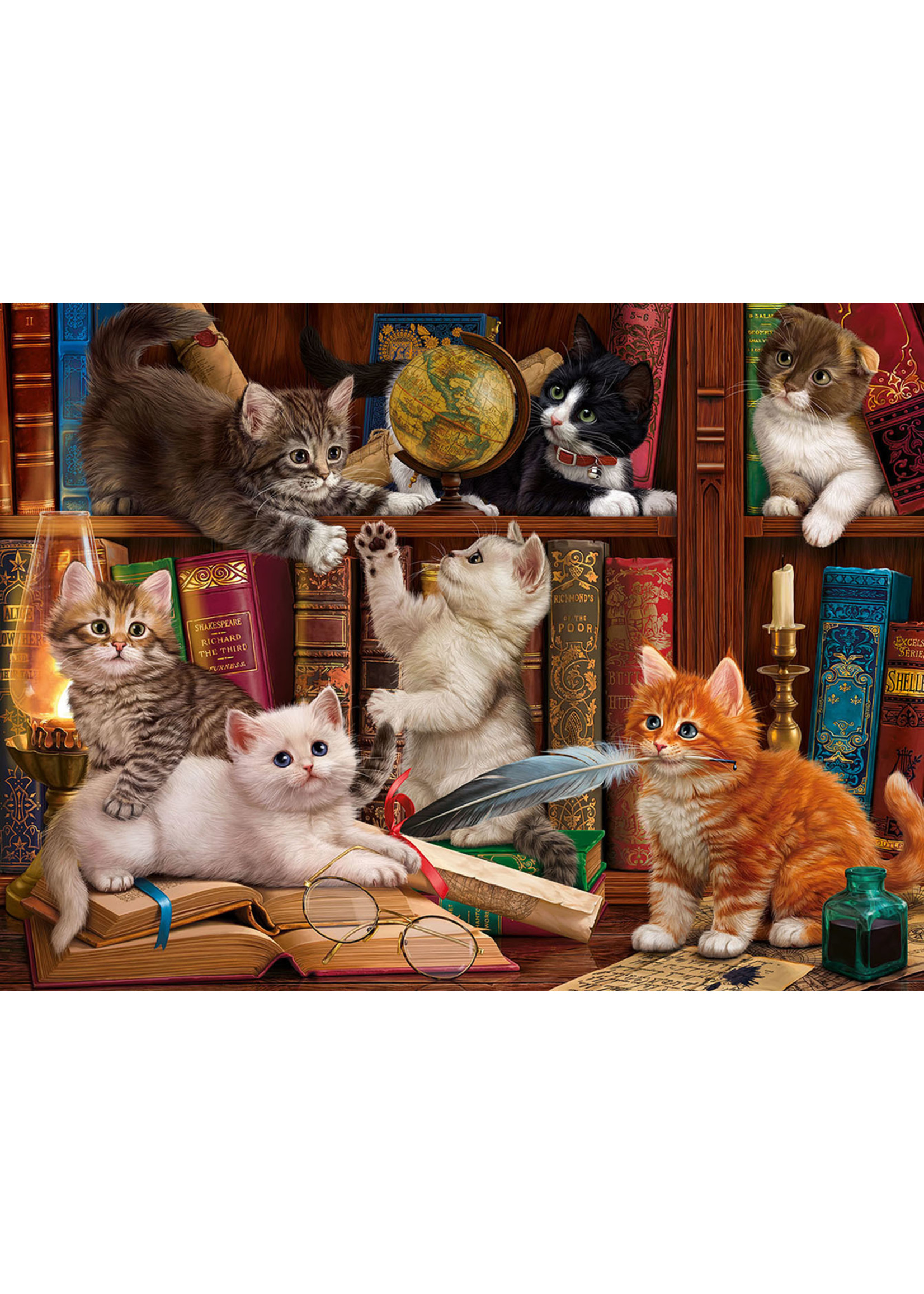 Sunsout Library Kittens Puzzle 1000 Pieces