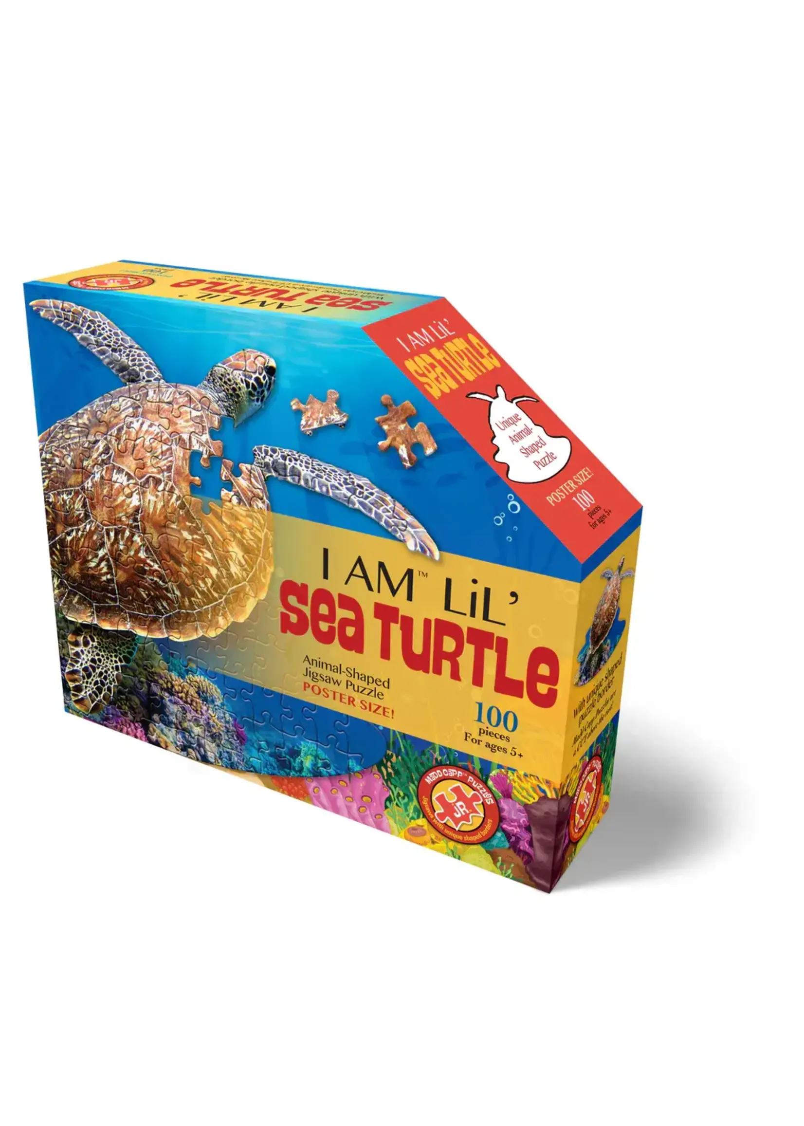 E11Even LLC Madd Capp Entertainment I AM Lil' Sea Turtle 100pc