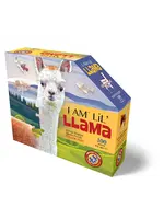 E11Even LLC Madd Capp Entertainment I AM Lil' Llama 100pc
