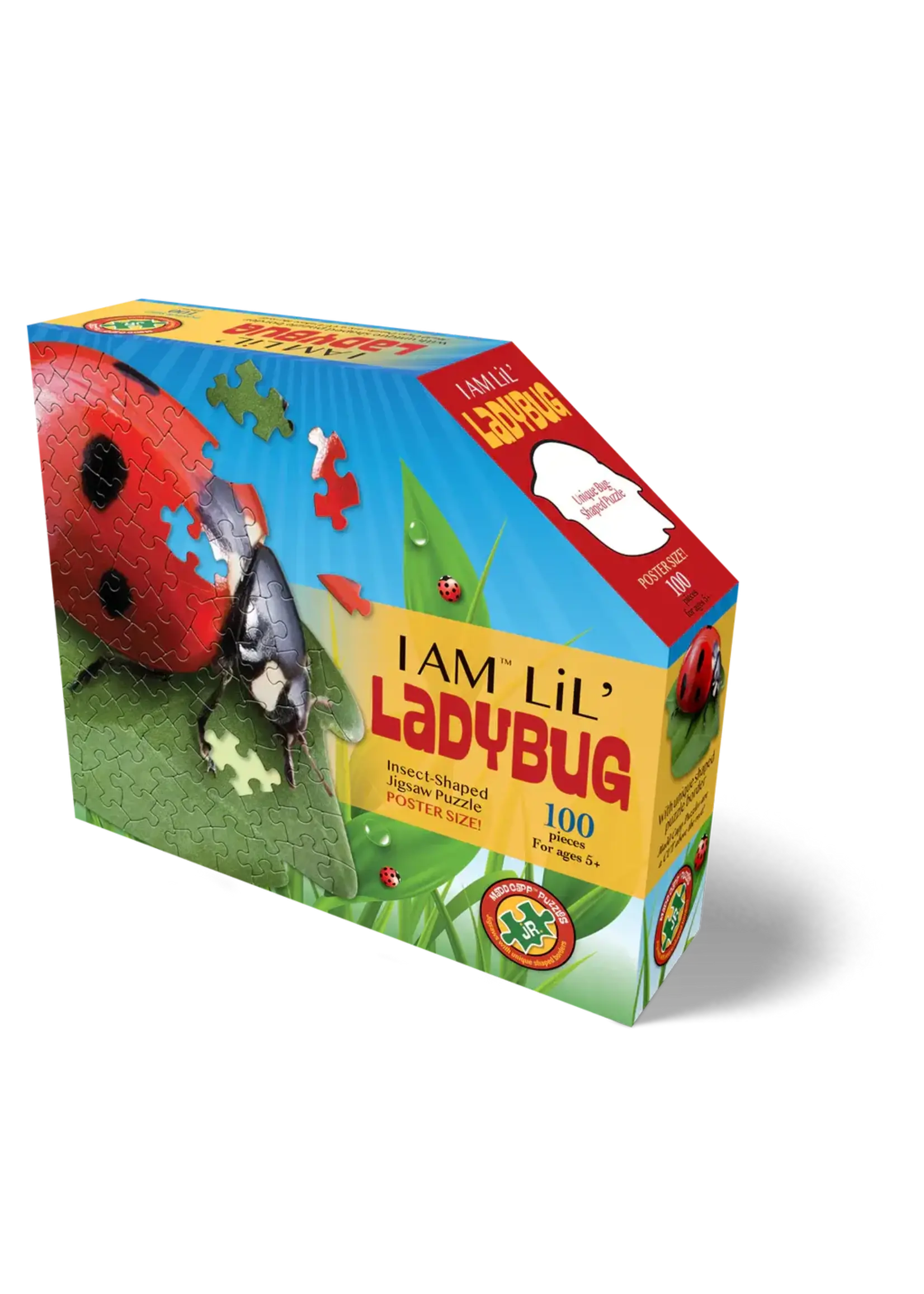 E11Even LLC Madd Capp Entertainment I AM Lil' Lady Bug 100pc