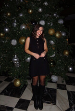 Sofie the Label Carly Sleeveless Sweater Dress