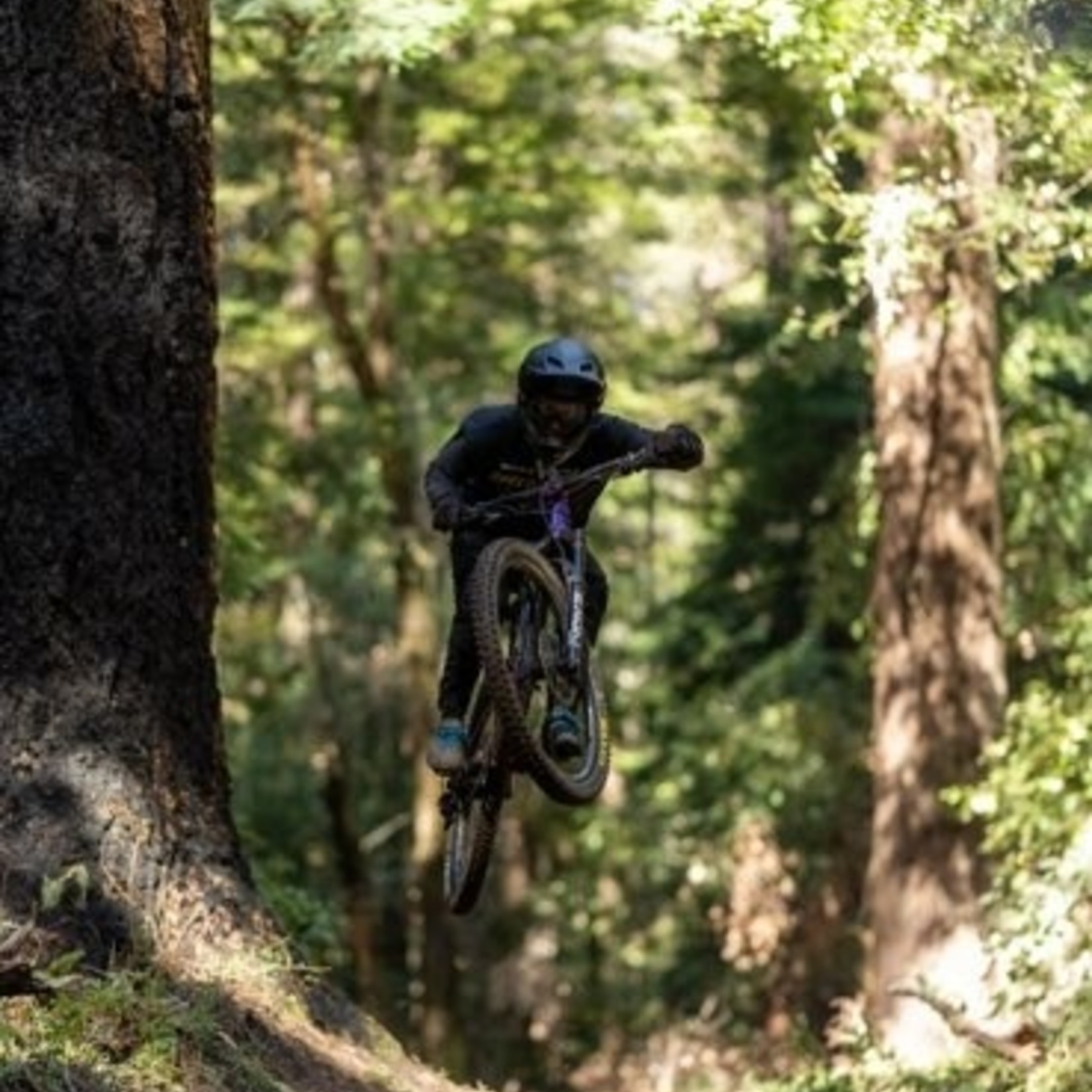 Speed Shop Aptos Speed Shop Hoodie