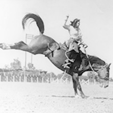 Rodeo Cowgirl Membership