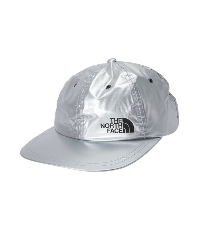 Supreme The North Face Metallic 6-Panel Silver