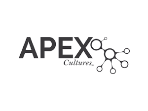 Apex