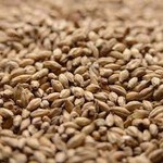 Briess Malting & Ingredient Co. Peated Malt Per OZ